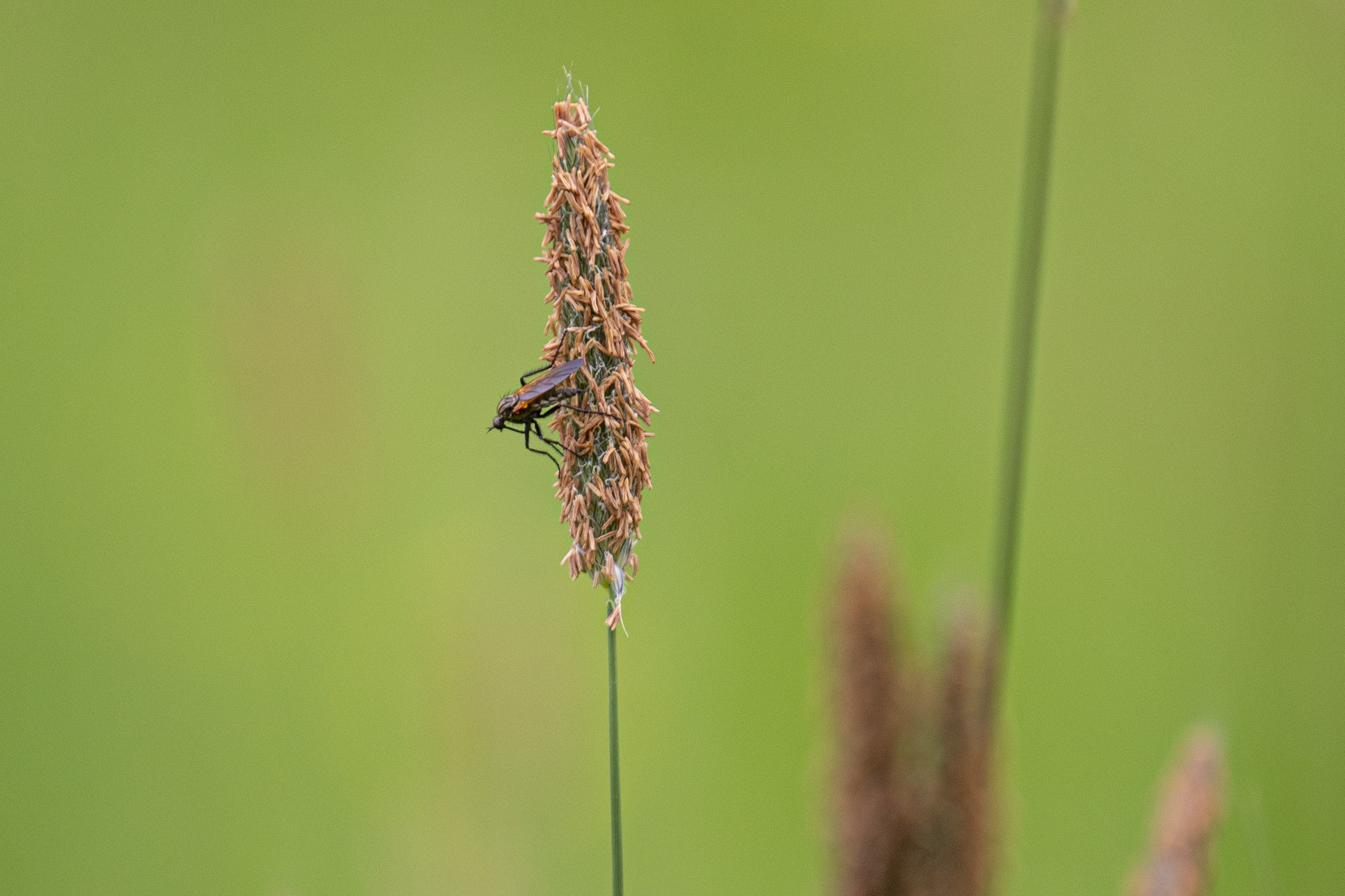 20250503141508 RD4 2588